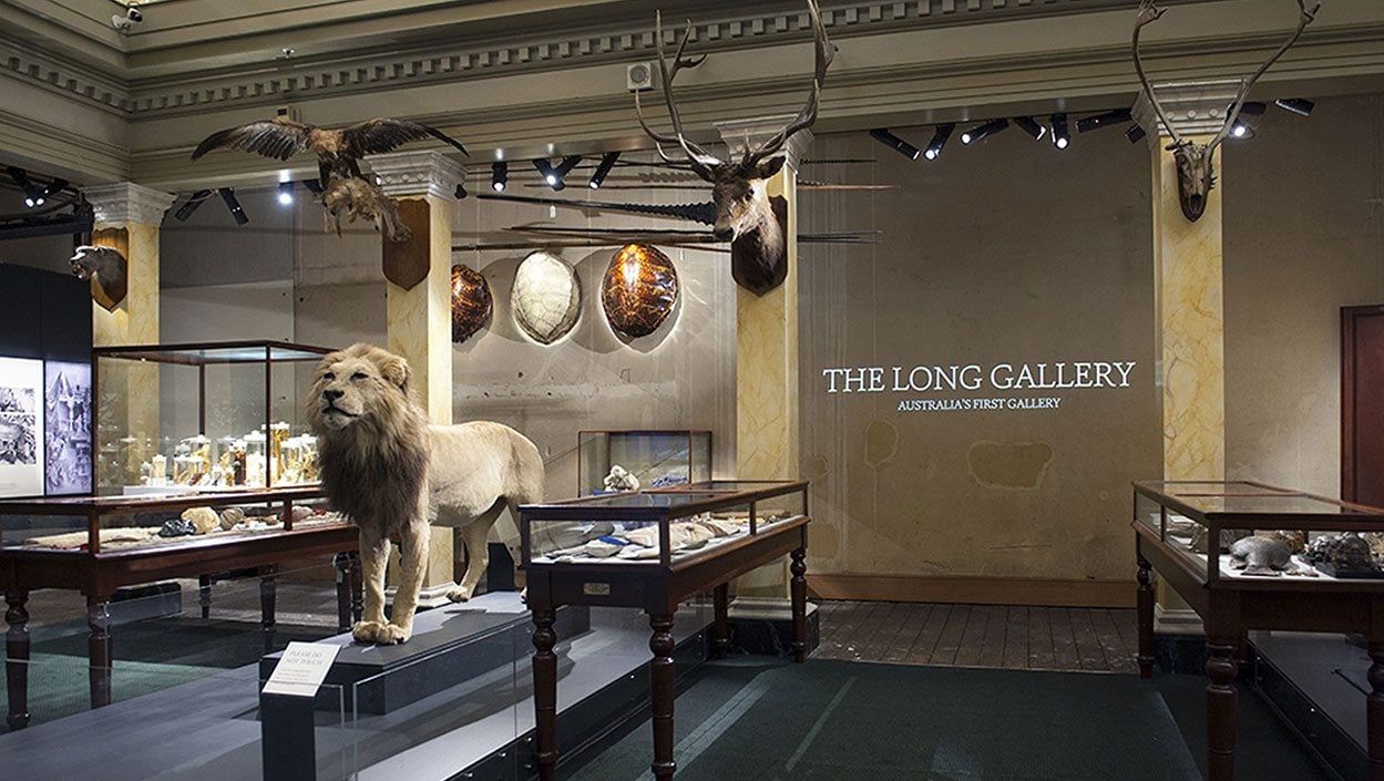 The Long Gallery