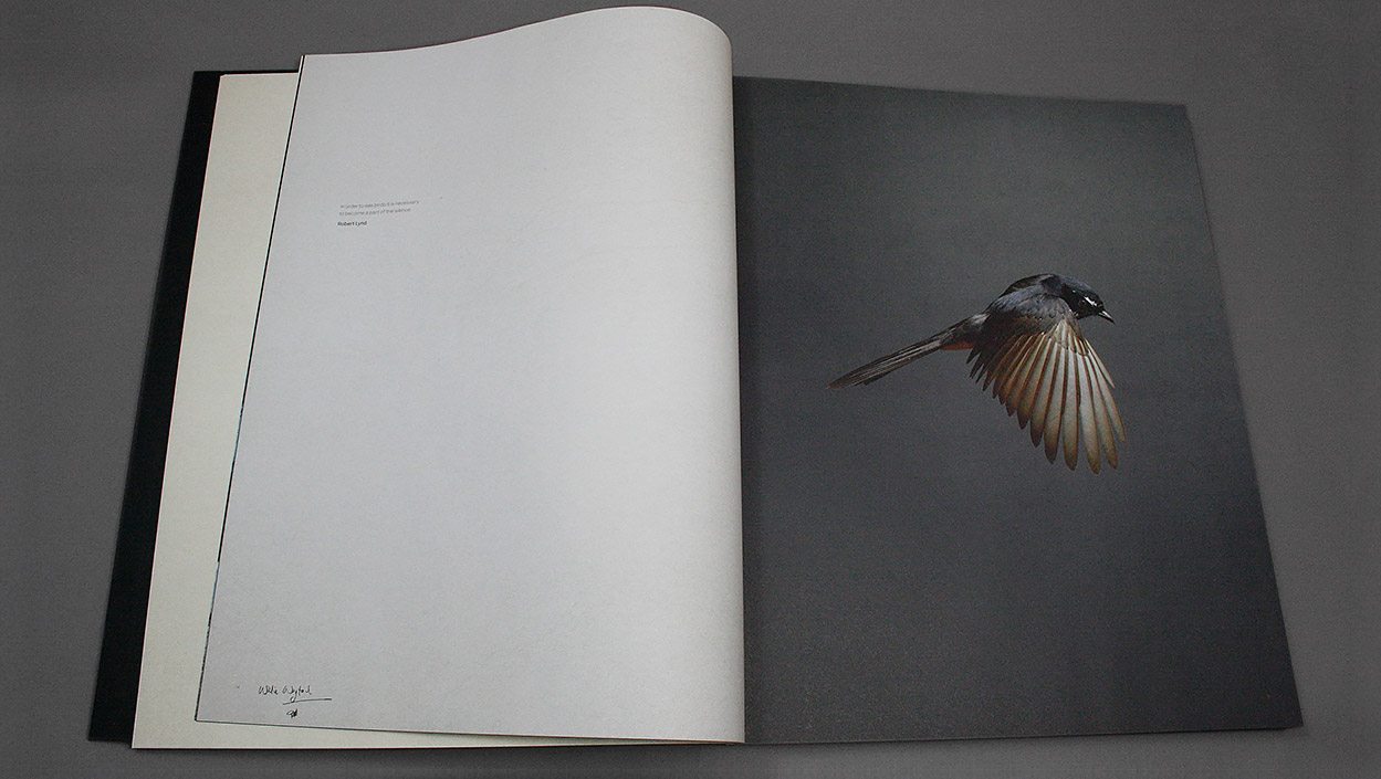 Gary Heery – Bird